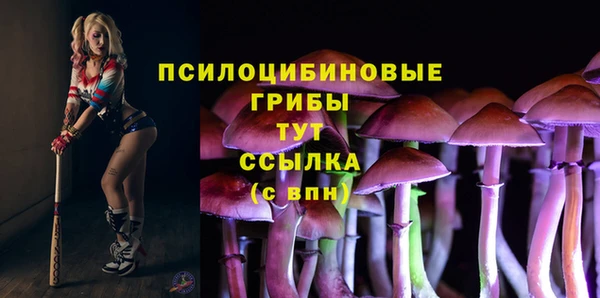 первитин Белоозёрский