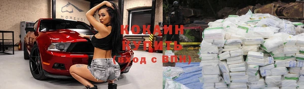 a pvp Белокуриха