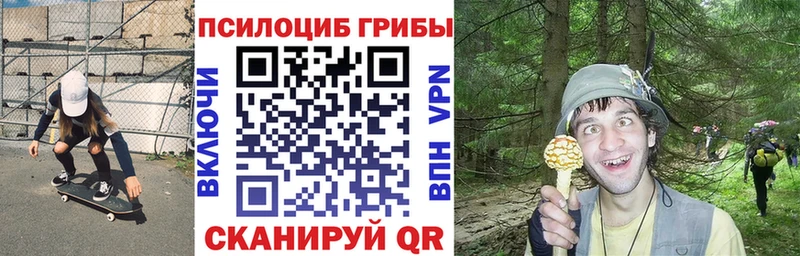 сколько стоит  блэк спрут онион  Галлюциногенные грибы MAGIC MUSHROOMS  Плёс 